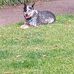 Robert Obrien - Facebook