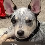 Robert ocasio - @robb1e1313 - Instagram
