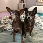 Robert ODonnell - @odonnell.robert - Instagram