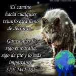 Serrano R Roberto E - @robertoeserranor - Instagram