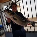 Roberto Garau - @roberto.garau.906 - Instagram