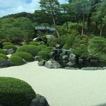 橋岡 ひろふみ ロベルト - @robertohashioka - Instagram