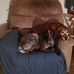 Robert Oien - Facebook