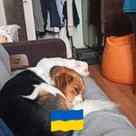 Robert Okoń - @robert.okon.180 - Instagram