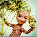 Robert Okoński - @skretolinii - Instagram