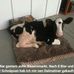 Robert Olbrich - Facebook