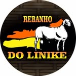 Rebanho do Linike - @robertolinike - Instagram