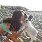 Roberta 🐕🌅🐾 - @robertolina86 - Instagram