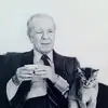 roberto oliverio - @roberto.oliverio - TikTok