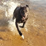 Robert Olson - @robert.olson.773 - Instagram