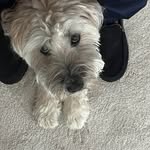 Robert Olson - @robertolson3831 - Instagram