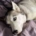 Robert Olson - Facebook