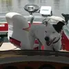Robert Olson - @robert.olson8 - TikTok