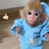 Roberto_motos_ - @roberto_motos_ - TikTok