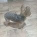 Robert Oneil - Facebook