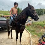 Robertinho ❤️ - @robertoo.tenorio - Instagram