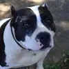 robertoppermann - @robertoppermann - TikTok