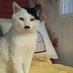 call_me_robert - @robertoreario - Instagram