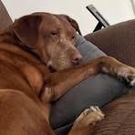 Robert Orlich - Facebook
