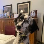Roberto Orlich - @robertoorlich - Instagram