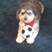 Robert Ormiston Jr. - Facebook