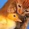 Robert Orrock - Facebook