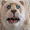 Robert Ostlund - @robertostlund - TikTok