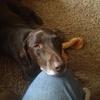 robertottley357 - @robertottley357 - TikTok