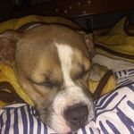 Robert outlaw - @r.i.p_kobe.gigi - Instagram