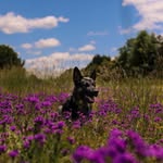 Robert Outlaw - @robertoutlaw11 - Instagram