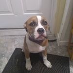 robert outlaw - @lilp_pup - Instagram