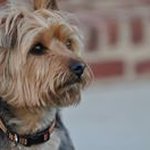 Robert Overby - @overbyrobmat - Instagram