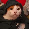 Robert_193683676 - @robertpaca - TikTok