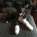 Robert Packham - @robertjpackham - Instagram