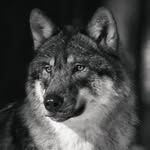 Robert Paczkowski - @balooala1 - Instagram