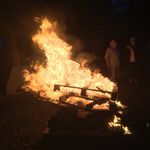 Robert Paddock - @nwt_bushcraft - Instagram