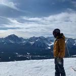 Robert Paddock - @robertpaddock1 - Instagram