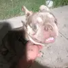 Robert David Padgett Jr. - @robert.david.padg - TikTok