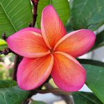 robert padgett - @rcpadgett - Instagram