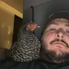 Robert  Page - @robertpage50 - TikTok