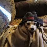 Robert Page - @robert.page.3766 - Instagram