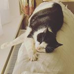 Robert Page - @bobpage1959 - Instagram