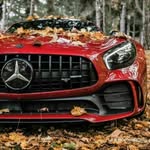 robert - @paladinesrobert13 - Instagram