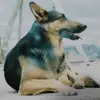 Roberto Paladines - @roberto.paladines5 - TikTok