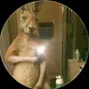 Roberto Paladines - @roberto.paladines0 - TikTok