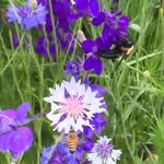 Janet Robertson Palardy - @janjan_63 - Instagram