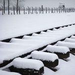 Robert Palfreyman - @robert.palfreyman.73 - Instagram