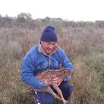 Roberto Panozzo - @robertopanozzo915 - Instagram