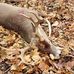 Rob Pardee - Facebook