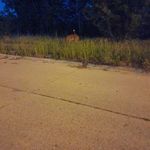 Robert Pardee - @pardee5922 - Instagram
